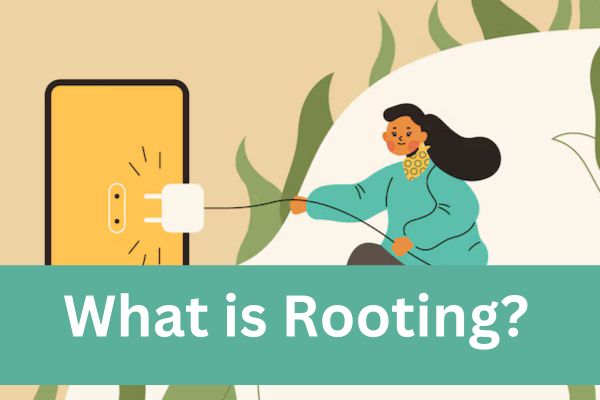 What is Rooting Image